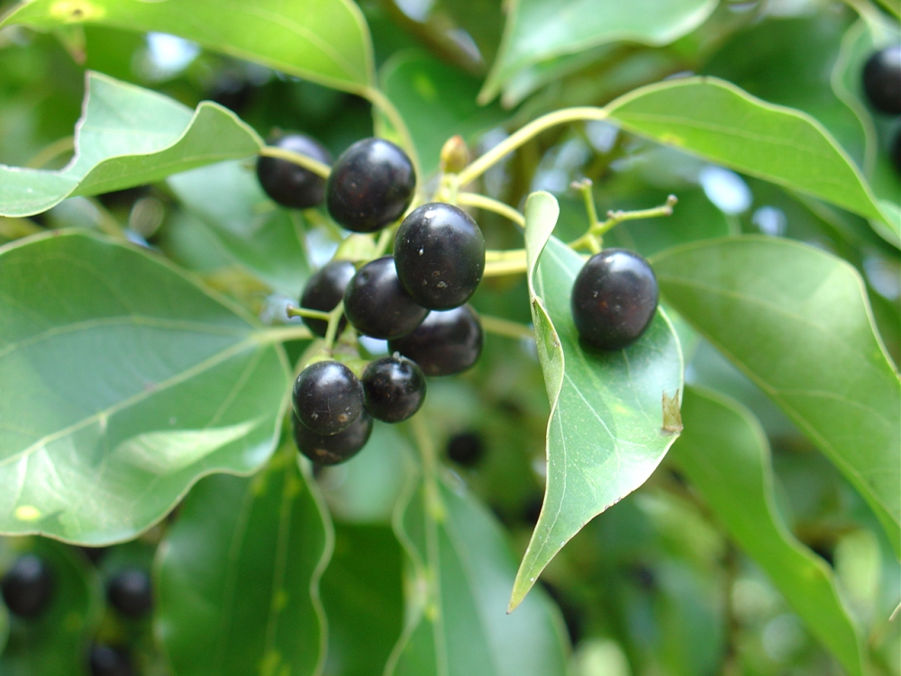 宝岛熏章-故事体验馆